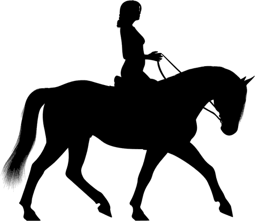 Woman Riding Horse Silhouette - Cowboy On Horse Silhouette - Transparent PNG Free Download | PNGio
