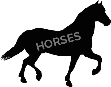 Horse - Horse Clip Art Silhouette - Transparent PNG Free Download | PNGio