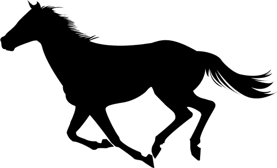 Horse-1 - Tranperant Horse - Transparent PNG Free Download | PNGio