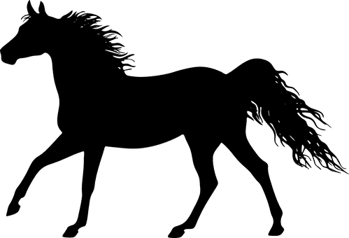 The Horse, Konik, Galop, Jump, Animal - Stencil Of A Horse - Transparent PNG Free Download | PNGio