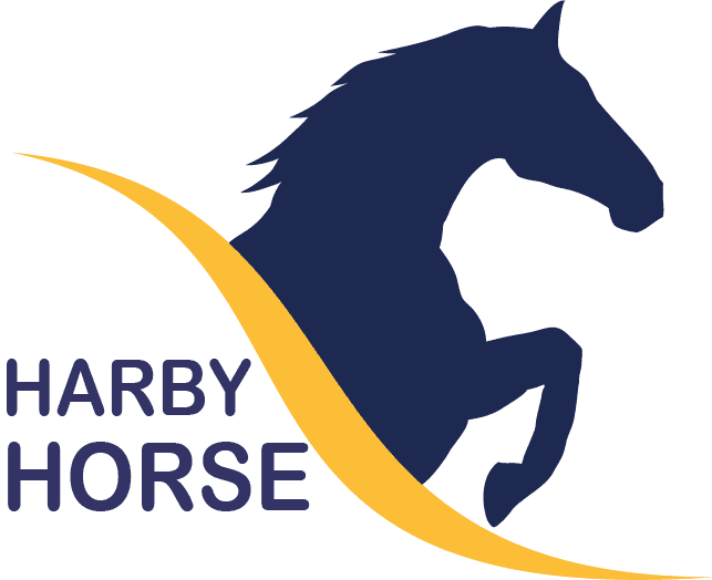 Harby The Horse - Horses Of Lost Valley - Transparent PNG Free Download | PNGio