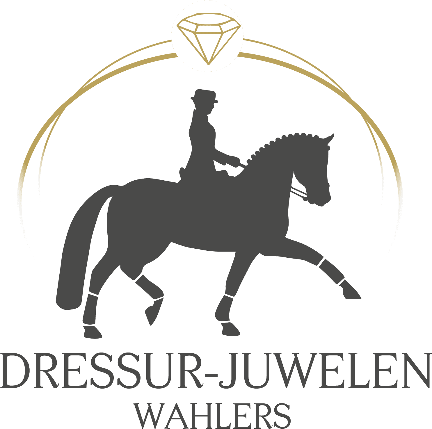 Dressur Juwelen - Horse - Transparent PNG Free Download | PNGio