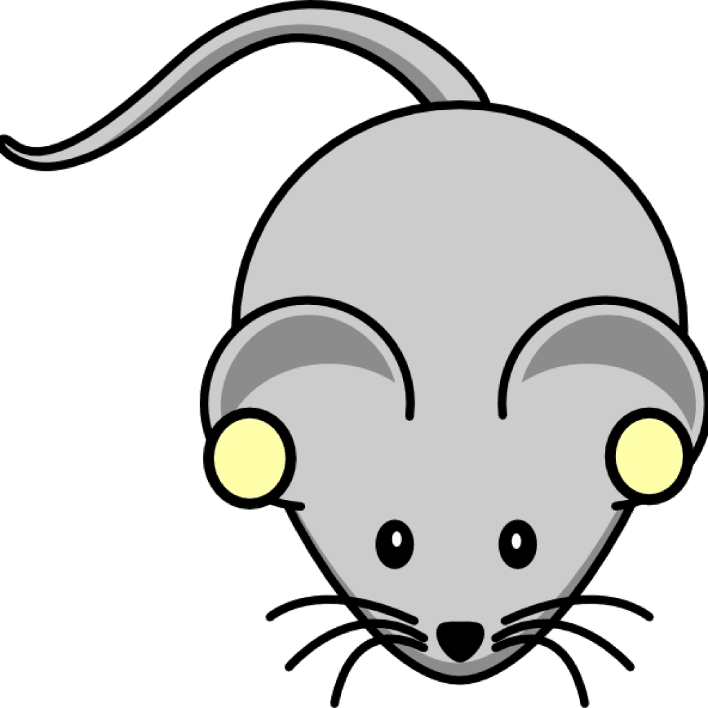 Rat Clipart Rat Clip Art Free Clipart Panda Free Clipart - Cartoon Mouse Shower Curtain - Transparent PNG Free Download | PNGio