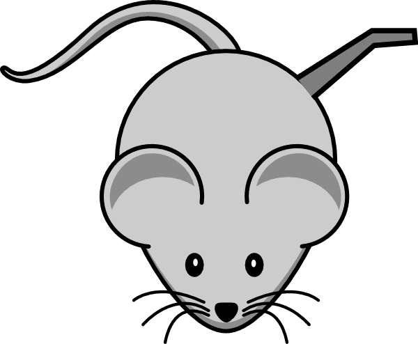 Cartoon Mouse Shower Curtain - Transparent PNG Free Download | PNGio