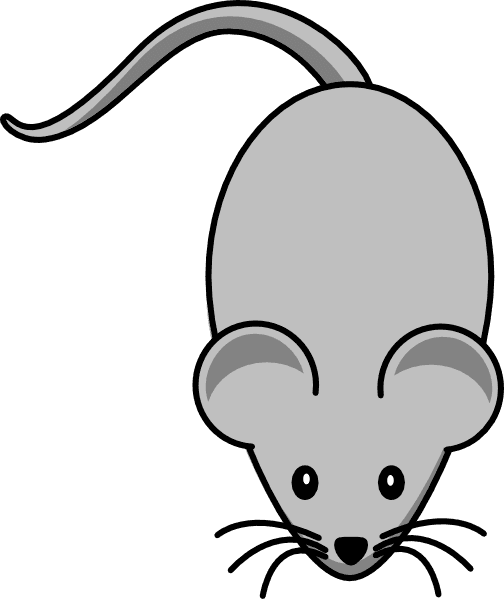 Mouse Clip Art - Mouse Clipart Transparent Background - Transparent PNG Free Download | PNGio