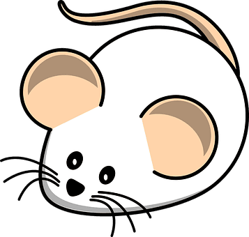Maus Weiße Maus Feld Tier Ratte Säugetier - White Mouse Clip Art - Transparent PNG Free Download | PNGio