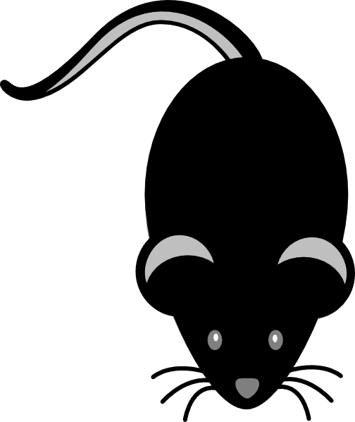 Black Mouse Light Grey Eyes Clip Art At Clker - Clipart Black Mouse - Transparent PNG Free Download | PNGio