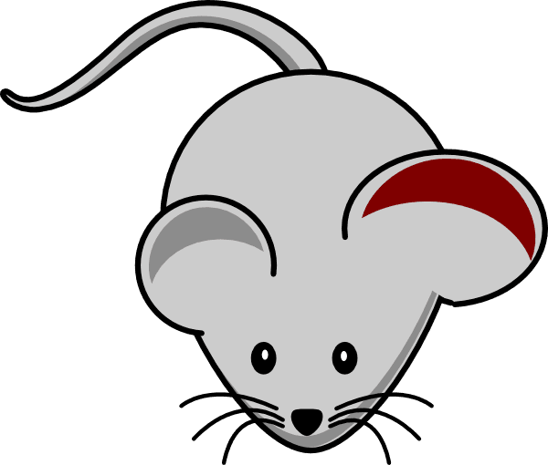 Mouse Ear Inflamation Clip Art - Mouse Clip Art - Transparent PNG Free Download | PNGio