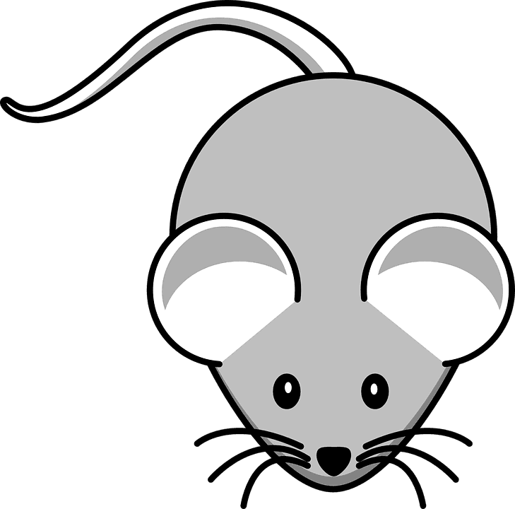 Whiskers Clipart Mouse Animal - Mouse Clipart - Transparent PNG Free Download | PNGio