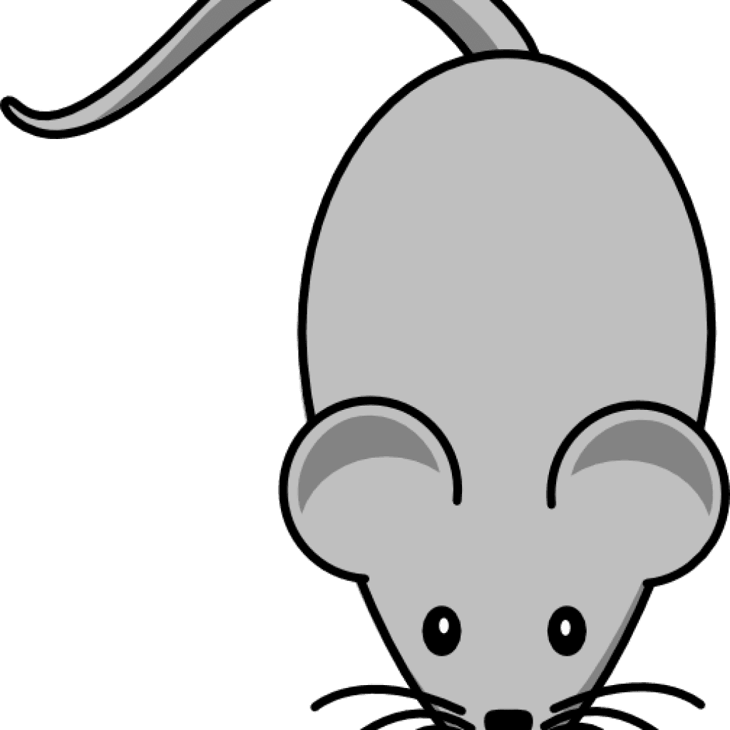 Mouse Clipart Light Grey Mouse Clip Art At Clker Vector - Mouse Clip Art - Transparent PNG Free Download | PNGio