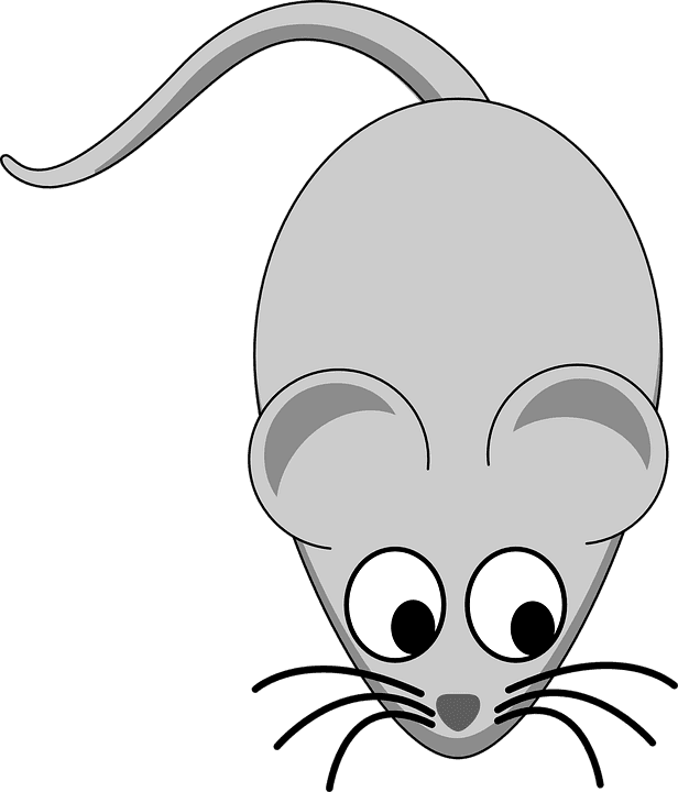 Mice Clipart Pet - Grey Mouse Clipart - Transparent PNG Free Download | PNGio