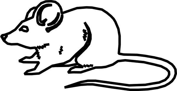 Outline Images Of Mouse - Transparent PNG Free Download | PNGio