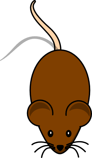 Small Animal Cliparts - Mouse Clip Art - Transparent PNG Free Download | PNGio