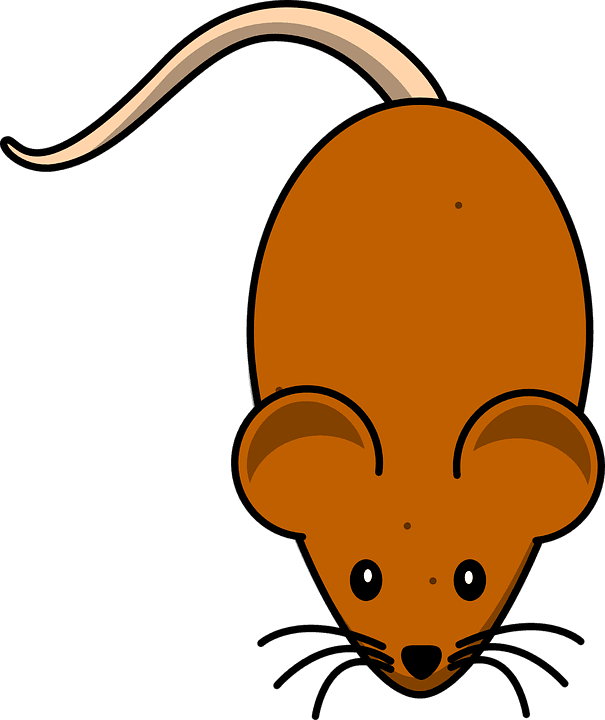 Cheese Cartoon Cliparts 29, Buy Clip Art - Mouse Clip Art - Transparent PNG Free Download | PNGio