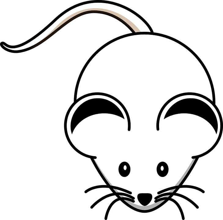 Rodent Clipart Mouse Face - Mouse Black And White Clipart - Transparent PNG Free Download | PNGio