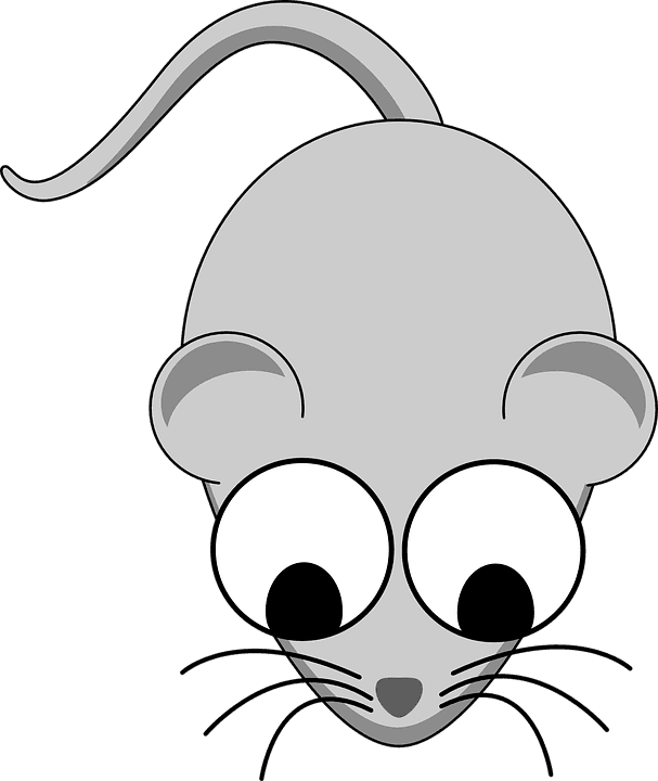 Computer Mouse Cartoon 10, Buy Clip Art - Cartoon Mouse Transparent Background - Transparent PNG Free Download | PNGio