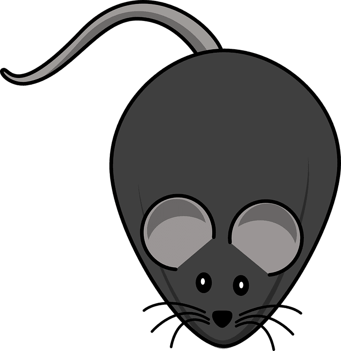 Computer Mouse Cartoon 21, - Fat Mouse Clipart - Transparent PNG Free Download | PNGio