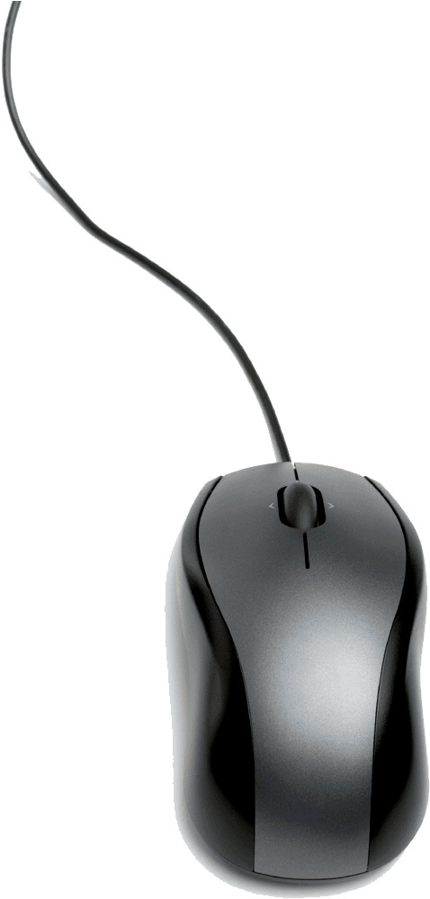 Computer Mouse Png Hd - Computer Mouse Png - Transparent PNG Free Download | PNGio
