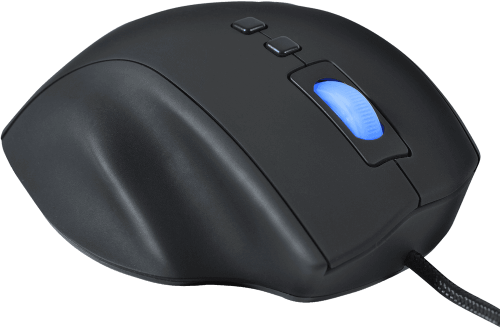 5k Front Right - Mouse - Transparent PNG Free Download | PNGio