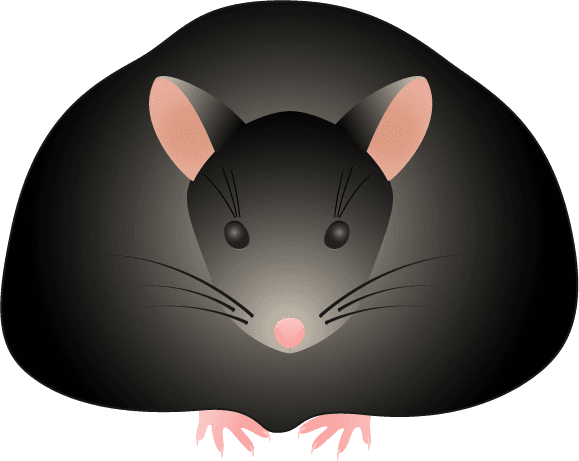 Clip Art - Fat Mouse Clip Art - Transparent PNG Free Download | PNGio