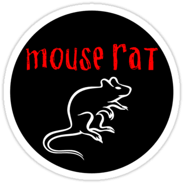 Parks And Recreation - Parks And Recreation Mouse Rat - Transparent PNG Free Download | PNGio