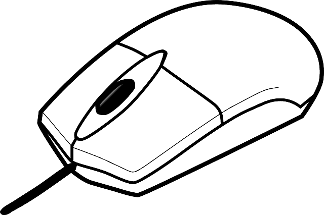 Cartoon Computer, Mouse, Keyboard, Outline, Drawing, - Computer Mouse For Coloring - Transparent PNG Free Download | PNGio