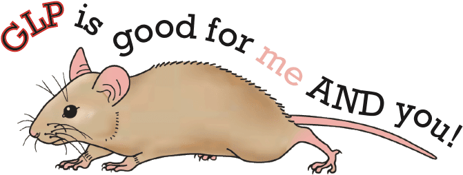 As A Basic Scientist, It May Be Difficult To Wrap Your - Mouse Clipart - Transparent PNG Free Download | PNGio