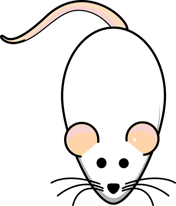 Mighty Mouse Cliparts 26, Buy Clip Art - Cartoon Mouse - Transparent PNG Free Download | PNGio