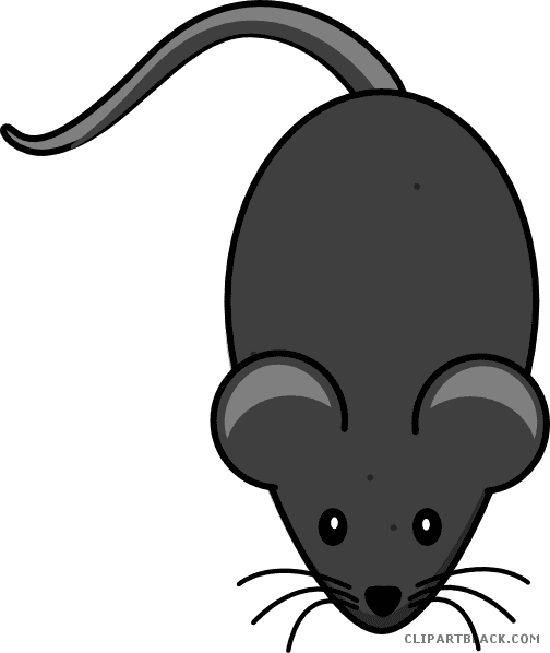 Black Mouse Animal Free Black White Clipart Images - Cartoon Mouse Tail Png - Transparent PNG Free Download | PNGio