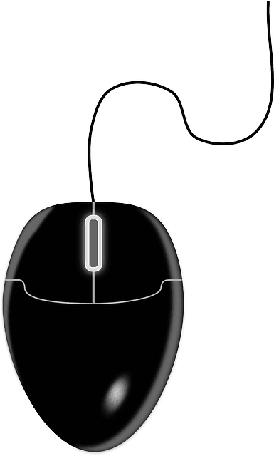 Glossy Mouse, Device, Control, Computer, Black, Glossy - Computer Mouse Clipart Png - Transparent PNG Free Download | PNGio