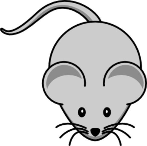 Rising Action - Cartoon Of Mouse - Transparent PNG Free Download | PNGio
