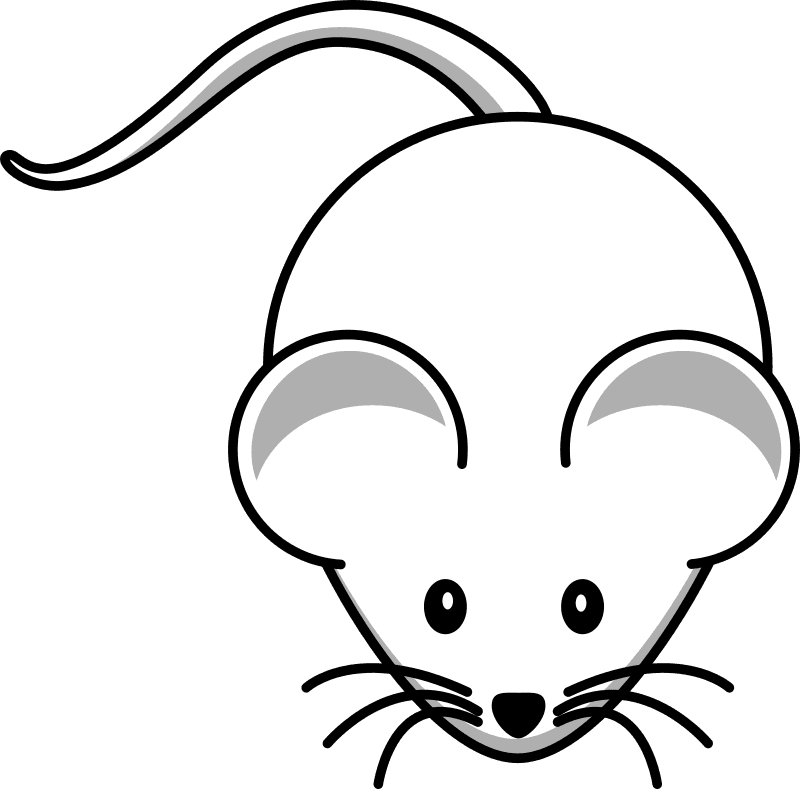 Cute Rat Drawing - Cartoon Mouse - Transparent PNG Free Download | PNGio