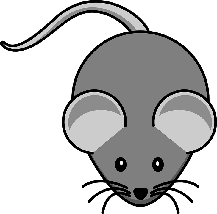 Cute Cartoon Square Grey Mouse And Cheese Stock Vector - Mouse Clip Art - Transparent PNG Free Download | PNGio