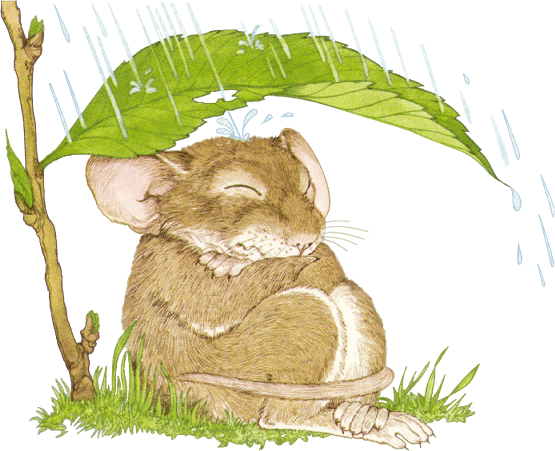 Clip Art - Mouse In Rain - Transparent PNG Free Download | PNGio