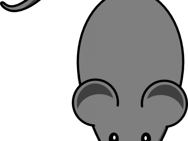 Pc Mouse Clipart Grey - Lab Mouse Clipart - Transparent PNG Free Download | PNGio