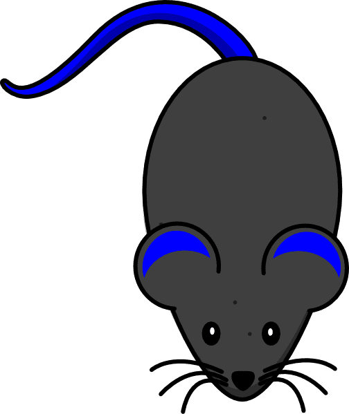 Tail Clip Art Clipart Panda Free Images - Lab Mouse Clipart - Transparent PNG Free Download | PNGio