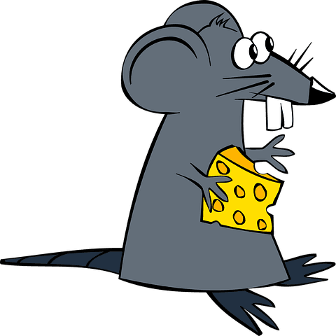 Free Picture - Mouse Cheese Clipart - Transparent PNG Free Download | PNGio
