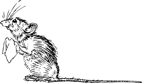 Sad Mouse Png Clip Arts - Sad Mouse - Transparent PNG Free Download | PNGio