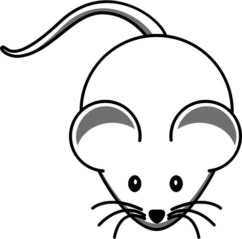 Vector Clip Art Of Cartoon White Mouse With Long Mustache - Cartoon Mouse - Transparent PNG Free Download | PNGio