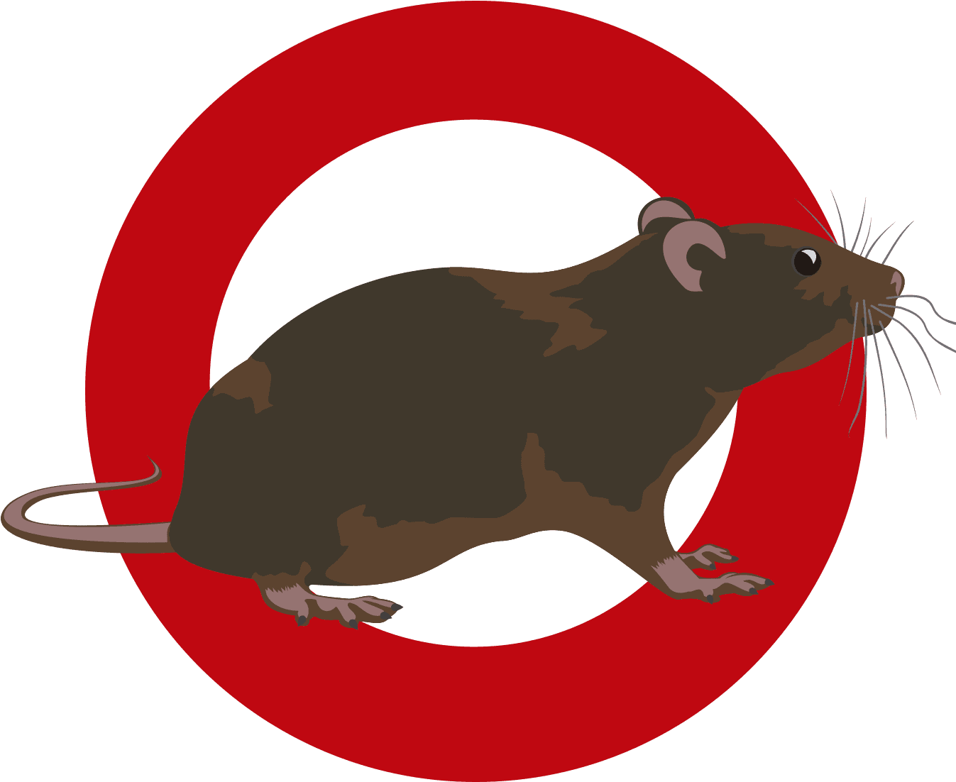 Rodents - Mouse - Transparent PNG Free Download | PNGio