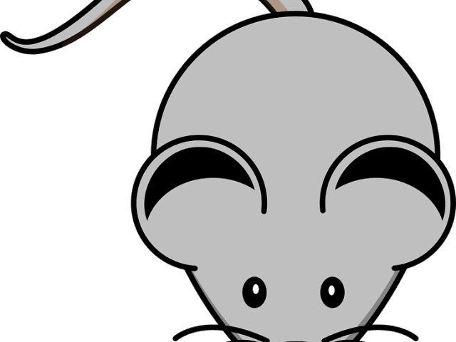 Grey Clipart Rodent - Mouse Clip Art - Transparent PNG Free Download | PNGio