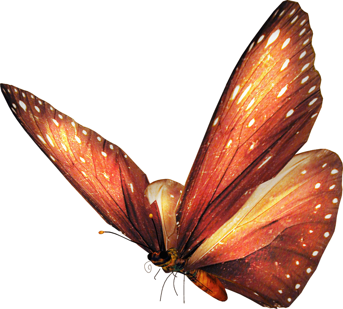 Imagenes De Mariposas Sin Fondo - Purple Butterfly Customized Rectangle Mousepad, Mouse - Transparent PNG Free Download | PNGio