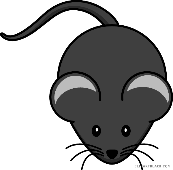 Cute Mouse Clipart - Mouse Clipart - Transparent PNG Free Download | PNGio