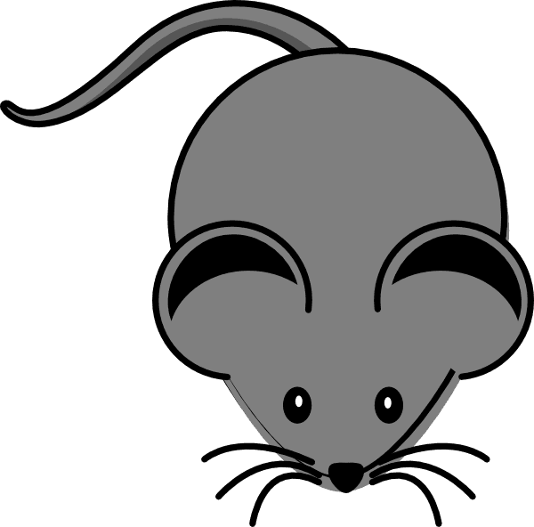 600 X 592 1 - Clipart Mouse - Transparent PNG Free Download | PNGio
