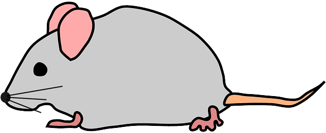 Free Pictures Images Found Cute Mouse Rat - Transparent Mouse Clipart - Transparent PNG Free Download | PNGio