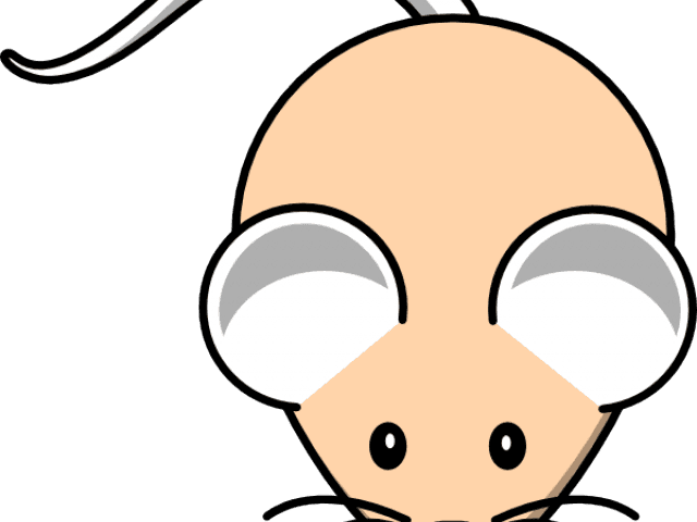 Related Posts - Simple Easy Mouse Cartoon - Transparent PNG Free Download | PNGio