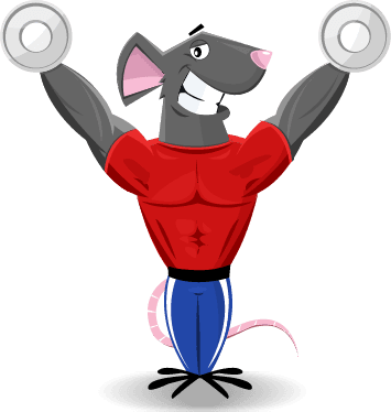 Migthy Mouse Mascot - Gym Mascots - Transparent PNG Free Download | PNGio