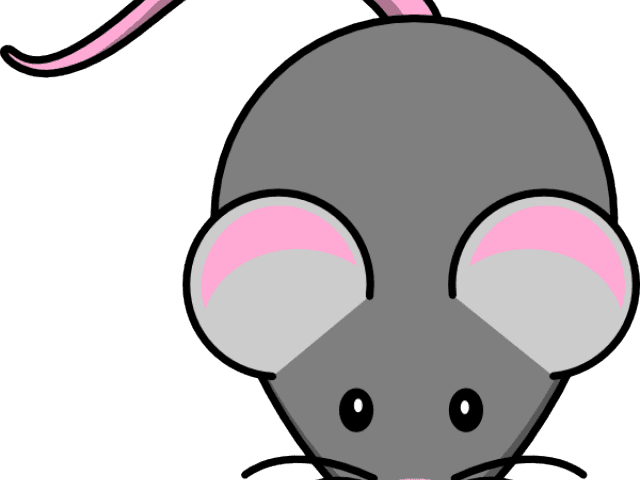 Mouse Cartoon Pictures - Silhouette America Smooth Heat Transfer Paper - 12 - Transparent PNG Free Download | PNGio