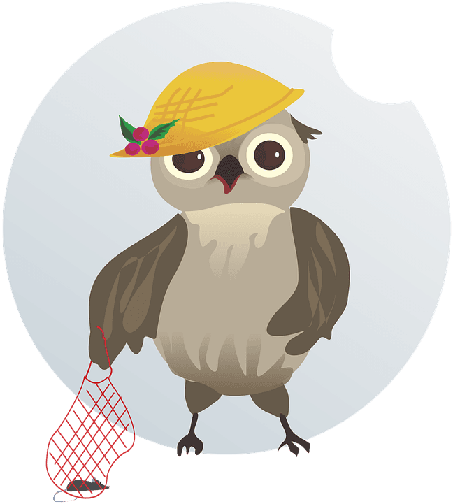 Vector, Figure, Bird, Owl, String Bag, Mouse, Cap - String Bag - Transparent PNG Free Download | PNGio