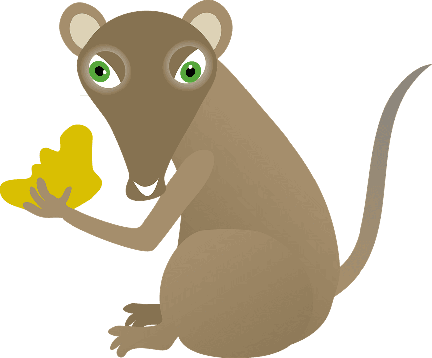 Cartoon, Mouse, Rodent, Mammal, Animal, Cute, Cheese - หนู การ์ตูน น่า รัก - Transparent PNG Free Download | PNGio